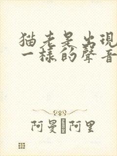 猫老是出现卡痰一样的声音