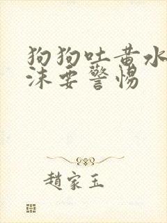 狗狗吐黄水带泡沫要警惕