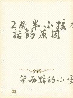 2岁半小孩不说话的原因