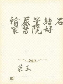 输尿管结石到哪家医院好