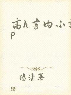 高h有肉小说np