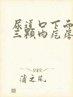 尿道口下面有两三颗肉疙瘩