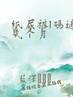 纸尿裤l码适合几个月