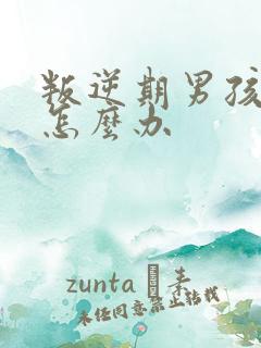 叛逆期男孩厌学怎么办