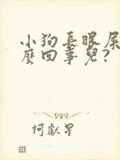 小狗长眼屎是怎么回事儿?