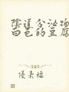 阴道分泌物是乳白色的豆腐渣