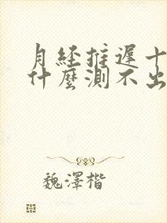 月经推迟十天为什么测不出怀孕