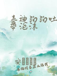 泰迪狗狗吐黄水带泡沫