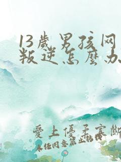 13岁男孩网瘾叛逆怎么办