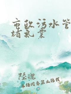 市政污水管道封堵气囊