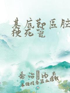 基底节区腔隙性梗死灶