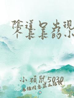 阴道口出现了一个长长的小肉粒