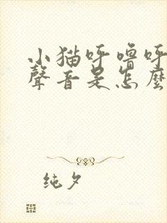 小猫呼噜呼噜的声音是怎么回事