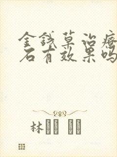 金钱草治疗尿结石有效果吗