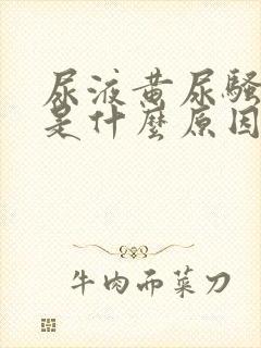 尿液黄尿骚味重是什么原因