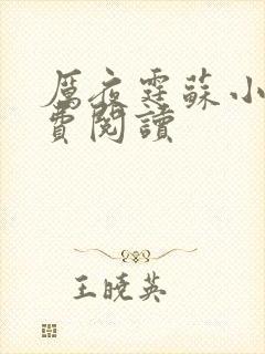 厉夜霆苏小汐免费阅读