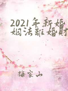 2021年新婚姻法离婚财产分割