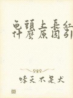 龟头上长红点是什么原因引起的