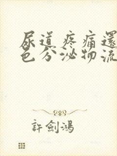 尿道疼痛还有白色分泌物流出