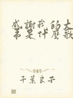 感谢我的大哥小弟是什么歌歌词