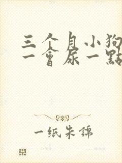 三个月小狗尿频一会尿一点