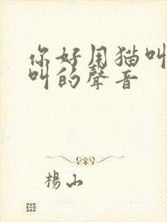 你好用猫叫怎么叫的声音