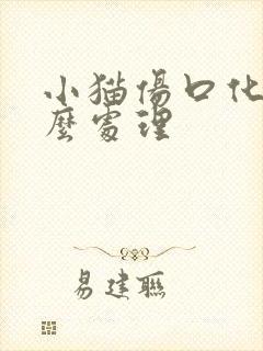 小猫伤口化脓怎么处理