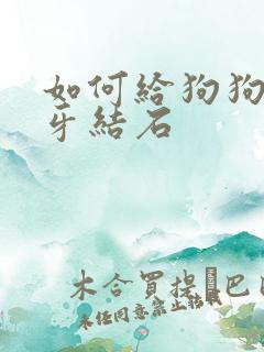 如何给狗狗清除牙结石