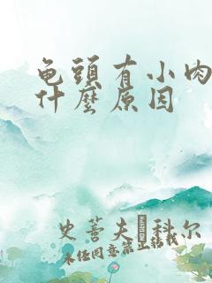 龟头有小肉粒是什么原因