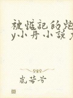 被惦记的炮灰by小舟小说免费阅读