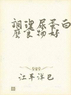 调理尿蛋白吃什么食物好