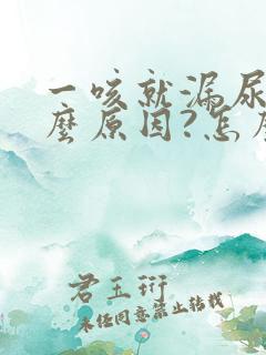 一咳就漏尿是什么原因?怎么治