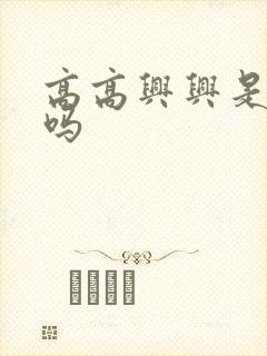 高高兴兴是词语吗