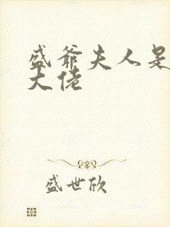 盛爷夫人是超级大佬