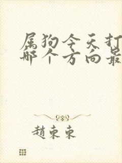 属狗今天打牌坐哪个方向最好