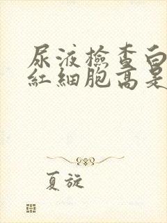 尿液检查白细胞红细胞高是什么原因