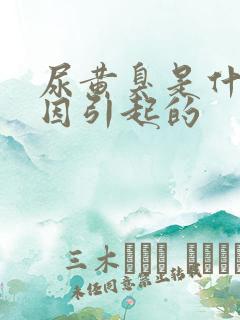 尿黄臭是什么原因引起的