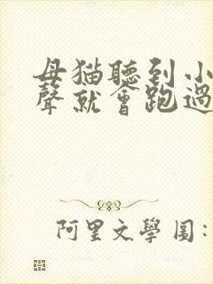 母猫听到小猫叫声就会跑过去