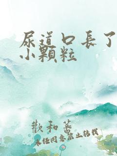 尿道口长了好多小颗粒