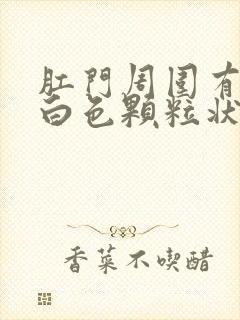 肛门周围有很多白色颗粒状