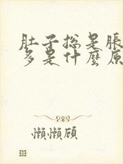 肚子总是胀气屁多是什么原因