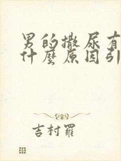 男的撒尿有脓液什么原因引起的