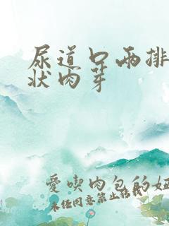 尿道口两排锯齿状肉芽