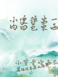 小便掉出一小块肉白色东西