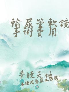 输尿管软镜结石手术费用