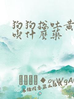 狗狗总吐黄水了吃什么药