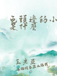 龟头边的小疙瘩是什么