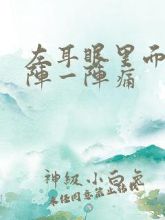 左耳眼里面痛一阵一阵痛