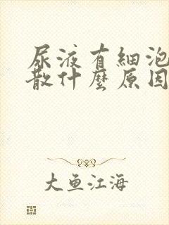 尿液有细泡沫不散什么原因