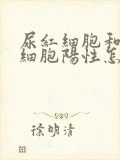 尿红细胞和尿白细胞阳性怎么回事